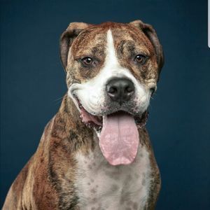 Meet your Posher, Karolyne